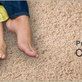 Carpet Cleaning & Dying in La Habra, CA 90631