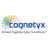 Cognetyx Inc in Sugar Land, TX
