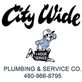 City Wide Plumbing of Chandler in Chandler, AZ Plumbing Contractors