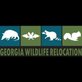 Georgia Wildlife Relocation in Eatonton, GA Animal Removal Wildlife