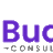 Budle Consulting in Orlando, FL