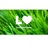 Lawn Love Lawn Care in Lodo - Denver, CO