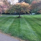The Greenscaping Company in Branford, CT Lawn Service