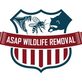 Asap Wildlife Removal in Lake Mary, FL Animal Control