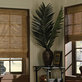 Blinds Shopper in DALLAS, GA Business Services