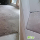 Carpet Cleaning & Dying in Charlotte, NC 28213
