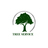 ProCut Tree service & Landscaping Expert in Auburndale, MA