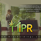 Mipr Holdings in Heather Ridge - Aurora, CO Business Planning & Consulting