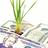 Happy Investments, Inc. Moreno Valley CA in Moreno Valley, CA