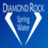 Diamond Rock Spring Water in Ridgefield Park, NJ