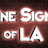 Fine Signs of LA in Manhattan Beach, CA