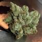 Order Weed Online in San Francisco, CA Better Business Bureaus