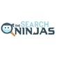 The Search Ninjas in Fells Point - Baltimore, MD Internet Web Site Design