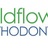 Wildflower Orthodontics in Round Rock, TX