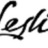 Antique Rugs by Doris Leslie Blau in Denver, CO