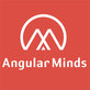 Angular Minds in Midtown District - San Diego, CA Computer Software