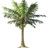 Hawaii Tree Service in Aliamanu - Honolulu, HI