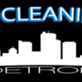 Eastside Cleaning Group in Downtown - Detroit, MI Consulting Services