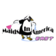 Maids In America East in Tuscaloosa, AL House Cleaning