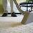 Warren Carpet Cleaning in Warren, MI
