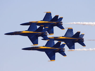 BlueAngels Process and Research in Knoxville, TN Legal Research & Support Services