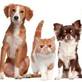 Pet Store Online Shop | Make A Smart Deal in Poland, IN Animal & Pet Food & Supplies Manufacturers