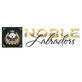 Noblelabradors in Eastvale, CA Pet Breeders