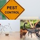 Home Doctor Pest Control in Gilbert, AZ Green - Pest Control