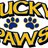 Lucky Paws in Janesville, WI