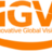 Innovative Global Vision in Macedonia, OH
