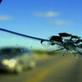 Riverside Mobile Car Glass in Ramona - Riverside, CA Auto Glass