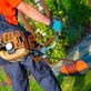 Galvez Lawn And Maintenance Services in Renton, WA Landscape Gardeners