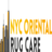 Rug Cleaning Theater District in New York, NY 10036 Carpet Cleaning & Dying