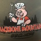 Backbone MTN BBQ & More in Huntington, AR Southern Style Restaurants