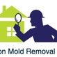 Hoschton Mold Removal Experts in Braselton, GA Molding Contractors