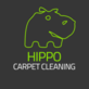 Hippo Carpet Cleaning in Allen, TX Carpet & Rug Cleaners Water Extraction & Restoration