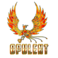 Opulent Promotional Items Company in Canarsie - Brooklyn, NY Advertising Promotional Products