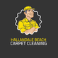 Carpet Cleaning & Dying in Hallandale Beach, FL 33009