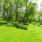 Ernie Ureno Tree Service in Santa Ana, CA Tree Services