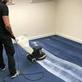Wedgwood Carpet Cleaning in Norwalk, CA Carpet Cleaning & Dying