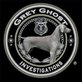 Grey Ghost Investigations in Hollywood, FL Private Investigators