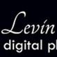 Marty Levin Studios in Austin - Chicago, IL Photographers