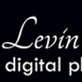 marty levin studios in Austin - Chicago, IL Photographers
