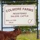 Colmore Farms in Rising Fawn, GA Farm Equipment