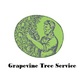 Grapevine Tree Service in Grapevine, TX Landscaping