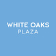 White Oaks Plaza in Springfield, IL Shopping Center Consultants