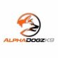 Alphadogzk9, in Houston, TX Dog Training School