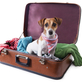 Country Time Pet Retreat in Berkley, MA Pet Sitting Services