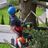 Chipps Tree Service in Modoc, IN