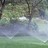 Cada Inc in Wahoo, NE 68066 Irrigation Systems & Equipment